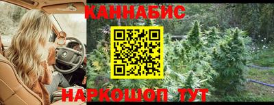 СК Новокубанск