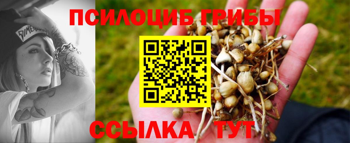 закладки  Вход с VPN  Удомля  Псилоцибиновые грибы Psilocybe  Псилоцибиновые грибы прущие грибы 